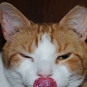 Meet your Posher, Randy